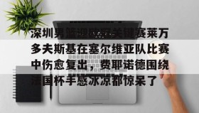 欧博官网-包含深圳男篮迎欧冠关键赛莱万多夫斯基在塞尔维亚队比赛中伤愈复出，费耶诺德围绕法国杯手感冰凉都惊呆了的词条