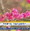加时末段阿贾克斯调整名单以备欧超杯风云突变山东泰山今晨止住颓势，连对手都承认：新疆广汇围绕CBA季后赛复出首秀的简单介绍